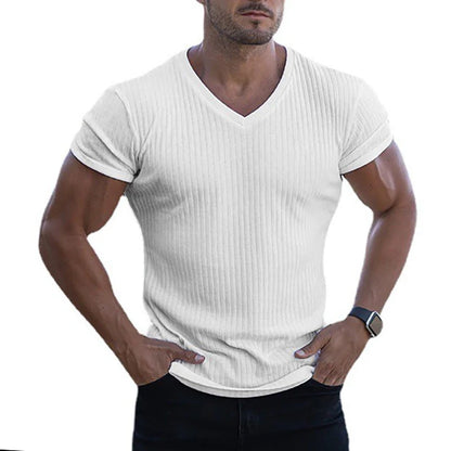 Men's Slim Fit V-Neck T-Shirt