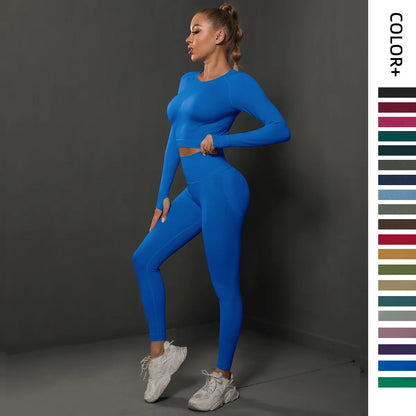 2-Piece Women's Seamless Gym Set: Sports Pants and Long Sleeve Compression Top