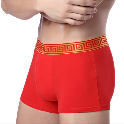 Men's Cotton Boxer Briefs - Various Colors