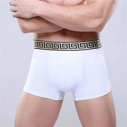 Men's Cotton Boxer Briefs - Various Colors