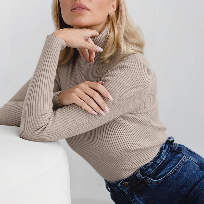 Ribbed Neck Sweater for Women - Fitted Knitted Pullovers